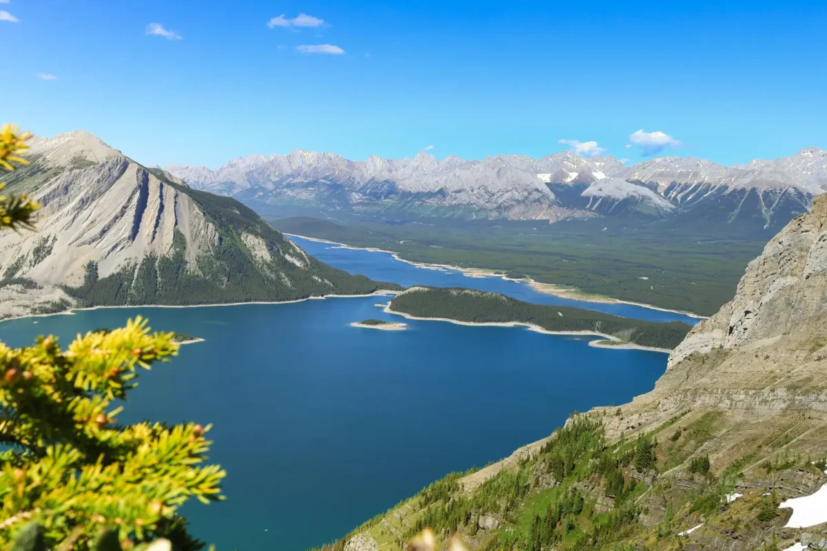 20240707150330_B38A6910