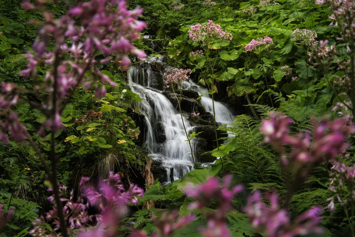 20240804063106_B38A7999