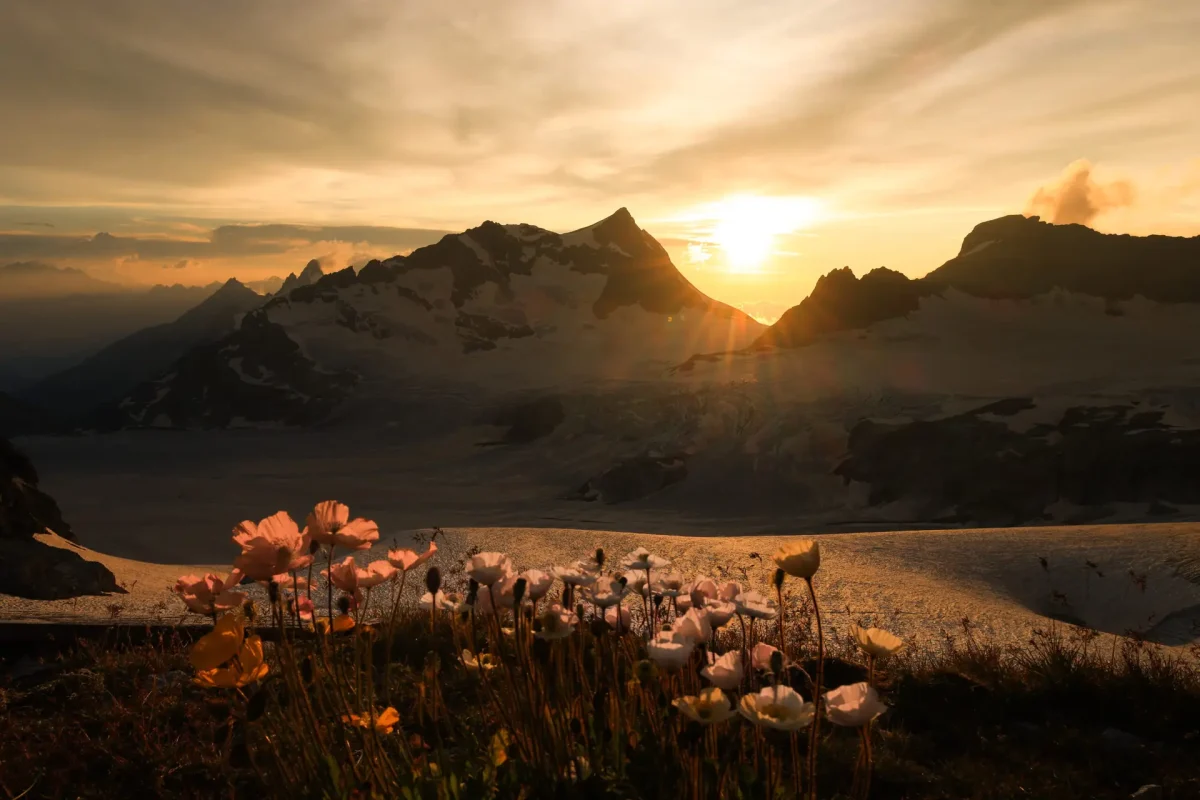 20240811112013_B38A8299