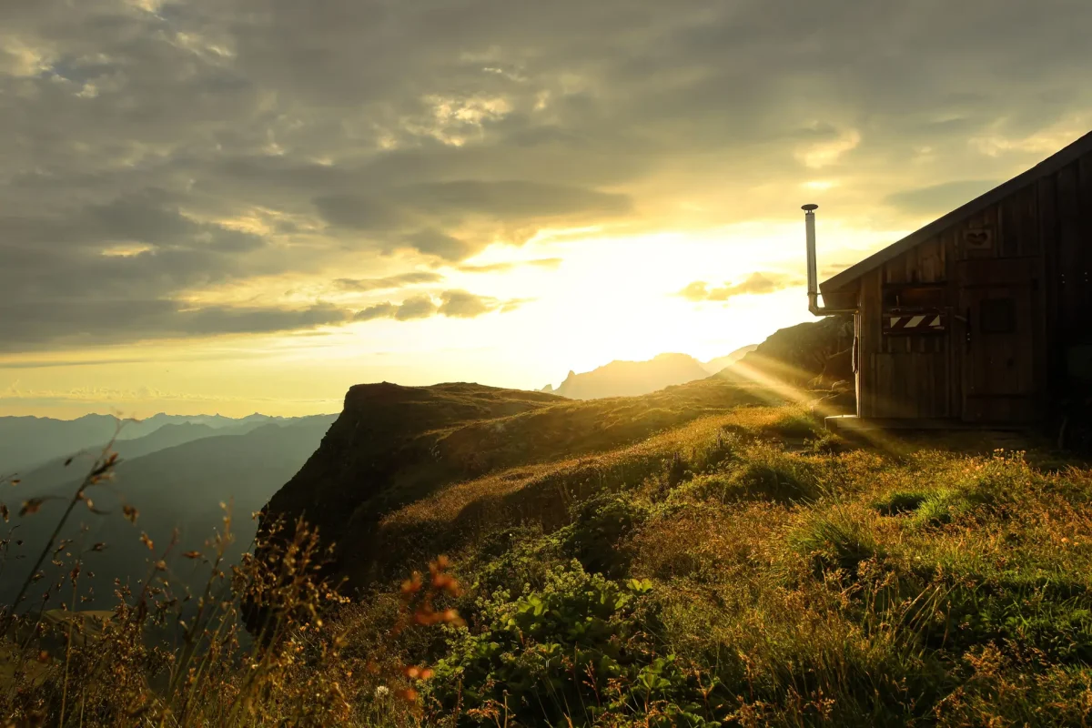 20240812220923_B38A8726